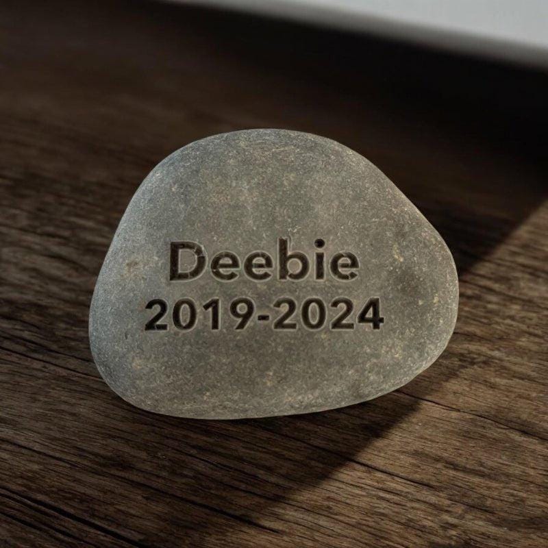 1 - 5" Custom Engraved River Stone: Personalized Wedding Date Gift, Garden Decor - Vanbrera Stones 1&quot; Single Sided