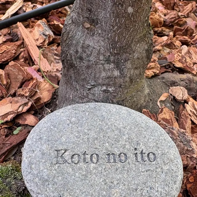 Image #1 from Erica